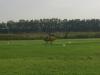 28148_101014_heli.jpg