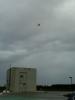 43745_20181126113310_07heli.jpg
