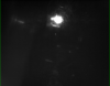 66555_1744391089_NoMarker.png