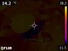 66712_1746434314_FLIR1303.jpg
