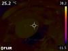 66712_1746434314_FLIR1306.jpg