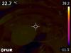 66712_1746434408_FLIR1364.jpg