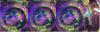 66729_1746603612_WE2.png
