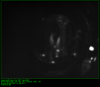 66764_1747156270_WE_Cam.png