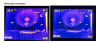 66874_1748622451_Horizontal.png