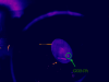 67057_1750358758_Fig2.png