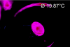 67670_1757443279_REF.png
