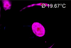 67670_1757443287_P1.png