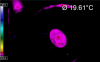 67670_1757443310_p2.png