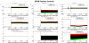 69945_1792392641_20261017_det_trendSPRB_Position.png